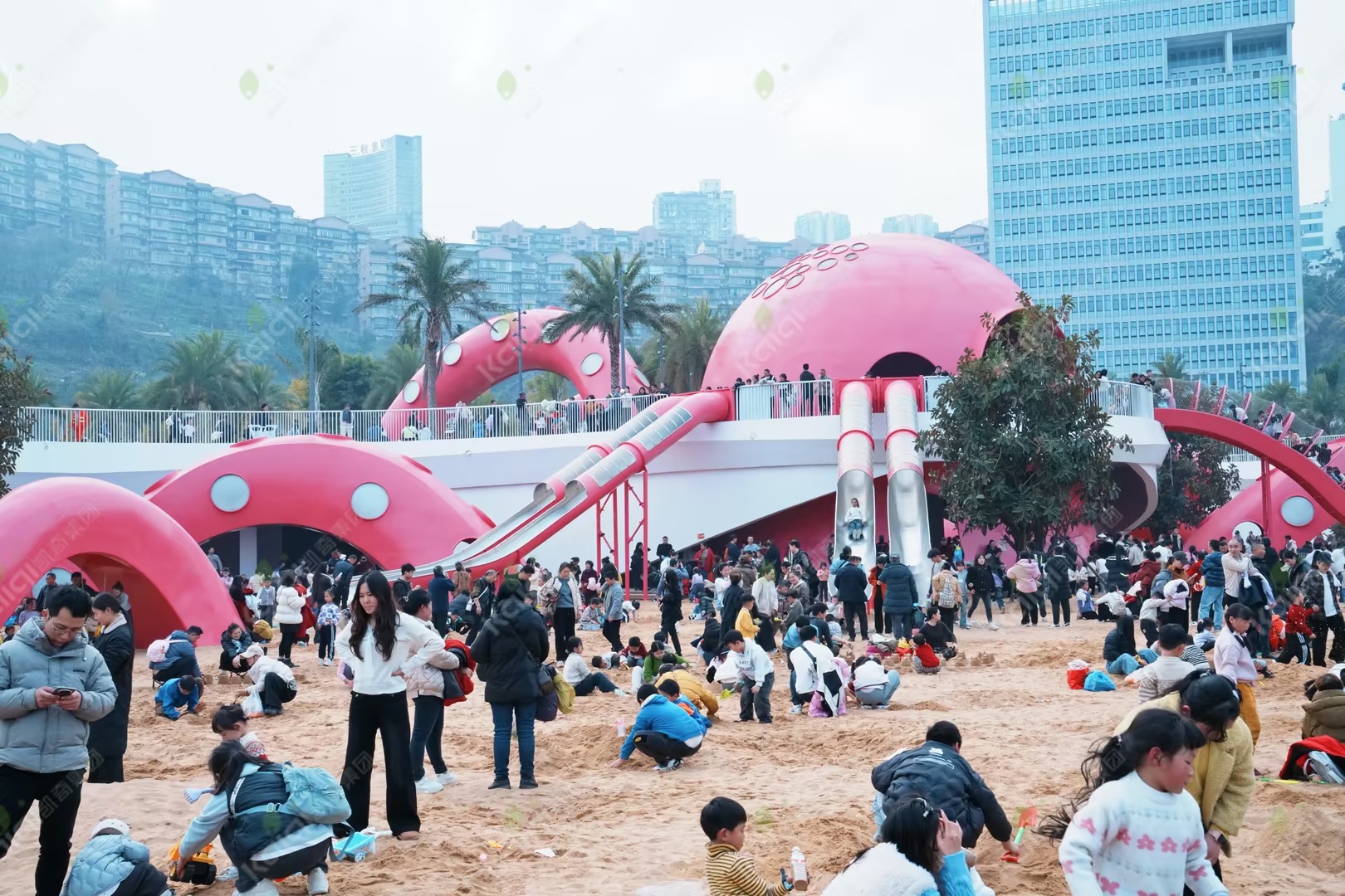 1772086862832215.jpg 1772086862832215.jpg