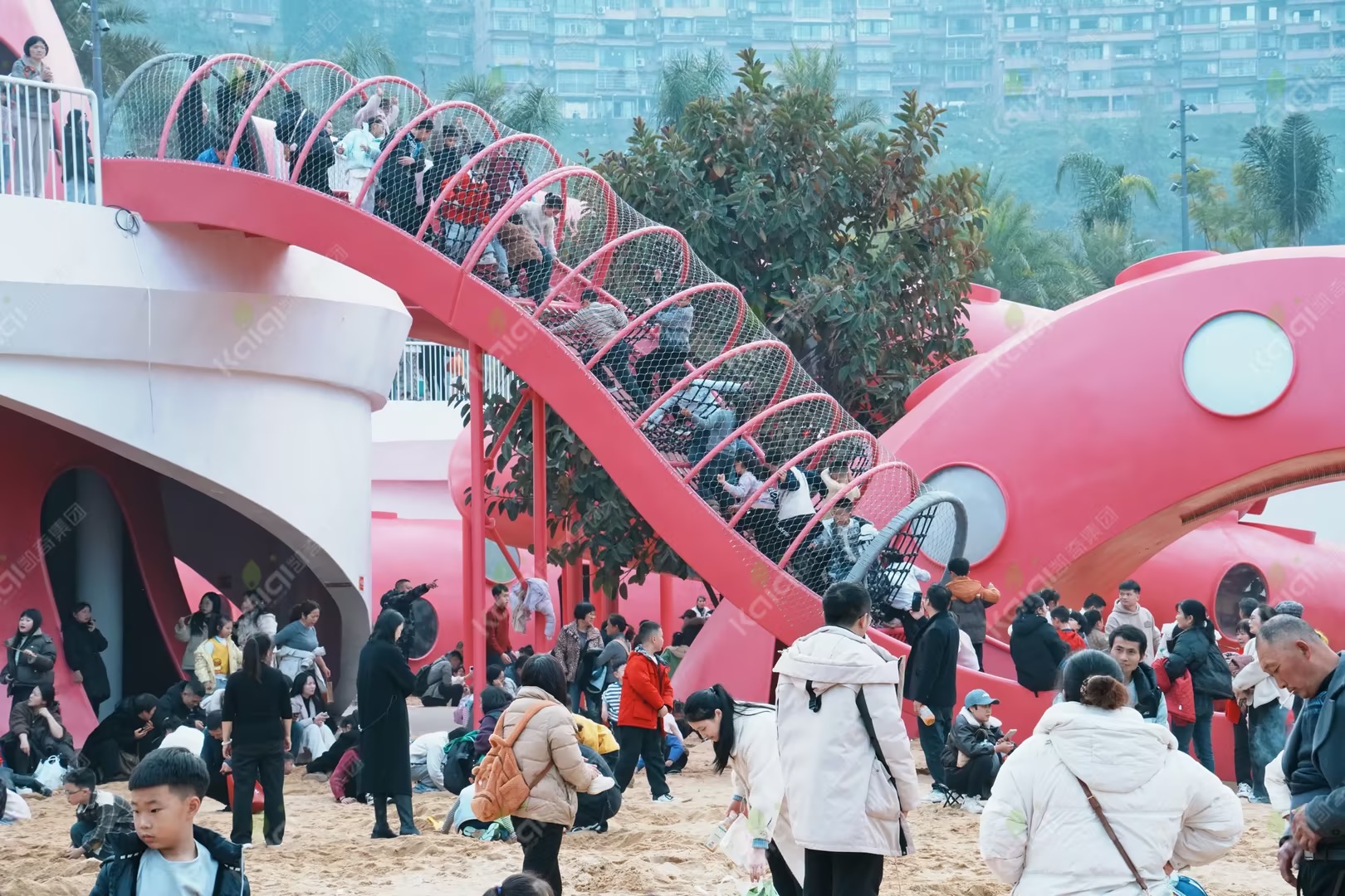 1772086893275550.jpg 1772086893275550.jpg