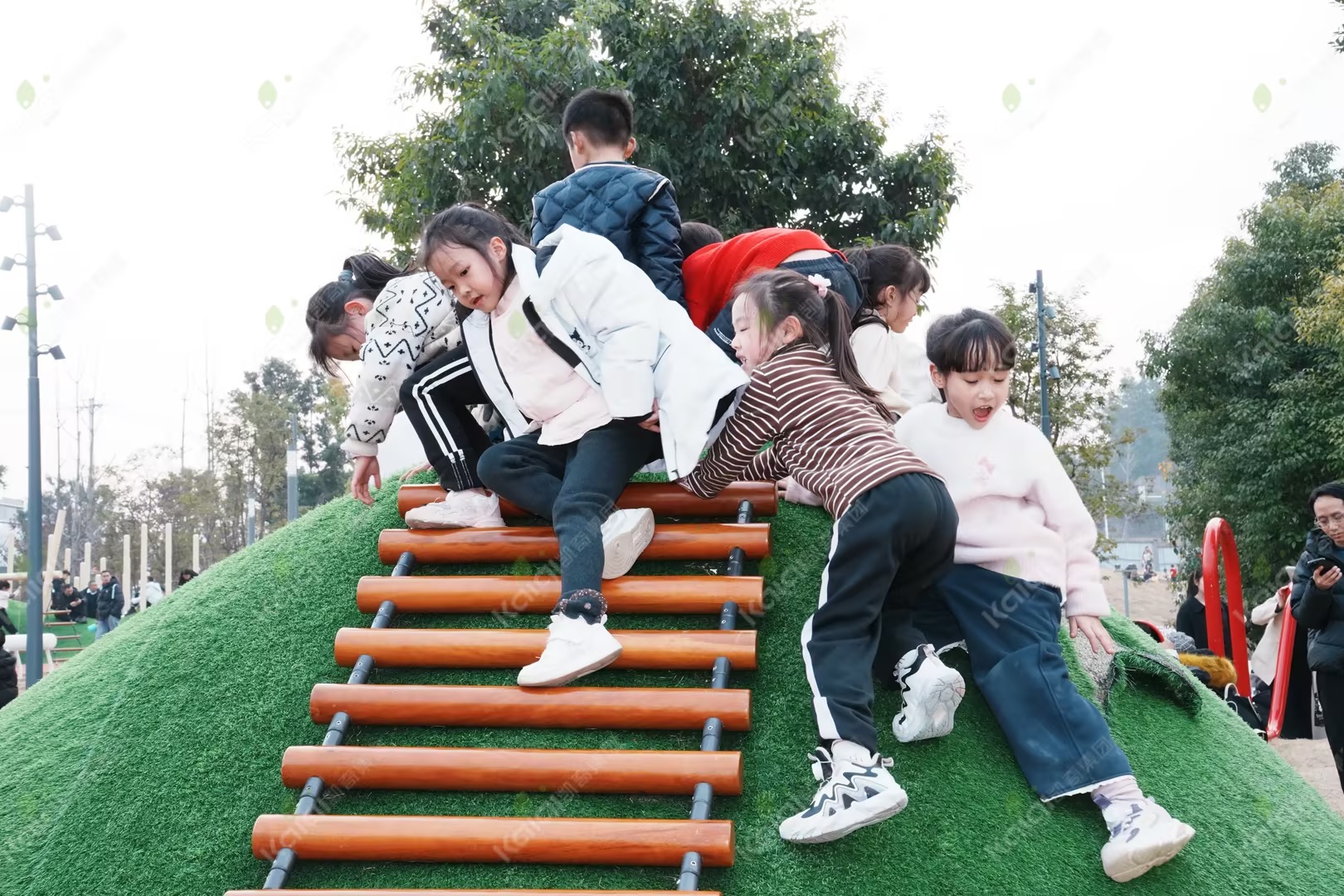 1772087588121640.jpg 1772087588121640.jpg