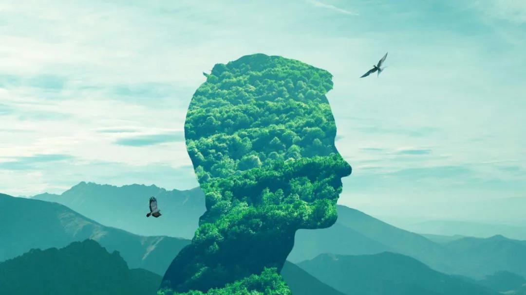 1600842643118810.jpg 1600842643118810.jpg